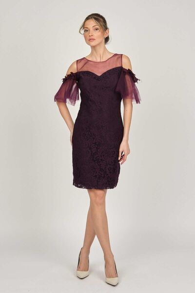 Dans فستان سهرة دانتيل نسائي 5279662 برقوق