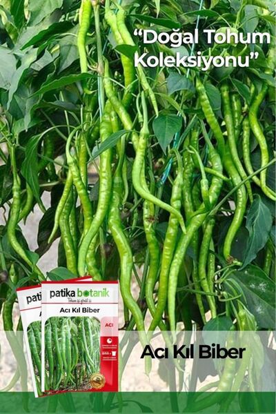 Patika Botanik 150 Adet Yerli Ata Acı Kıl Biber Tohumu