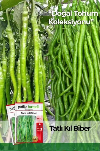 Patika Botanik 200 Adet Tatlı Kıl Biber Tohumu