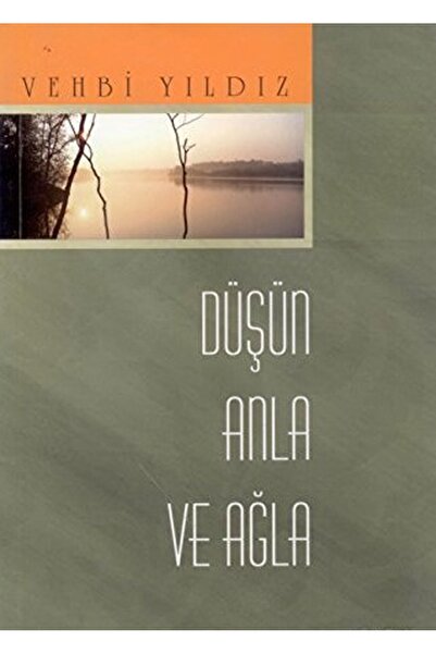 Literatürk Academia Düşün, Anla ve Ağla - Vehbi Yıldız