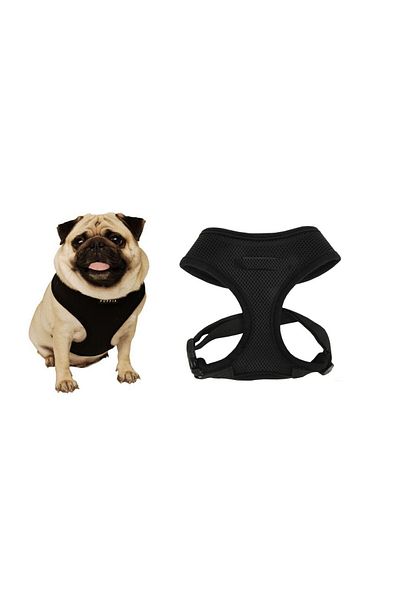 Sia English Dog Chest Collar - Large Black 76x94cm Pets at Home