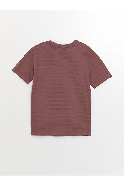 LC Waikiki Lcw Kids Comfortable Fit Crew Neck Boys' T-Shirt