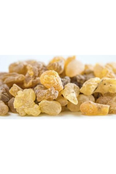 forevers Akgünlük Sakızı Sığla Ağacı Reçine Günlük Bitkisi %100 Doğal 200 Gr