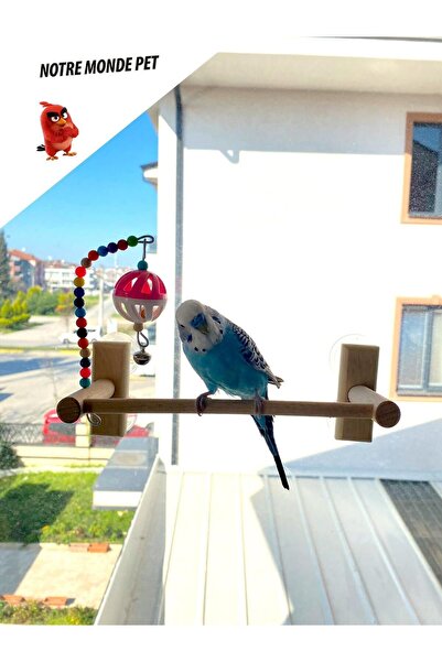 NOTREMONDEPET El Yapımı 4 Vantuzlu Kuş Oyuncağı Top Zilli