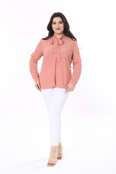 Şans Dried Rose Plus Size Striped Blouse - Scarf Tie Collar 65N38023
