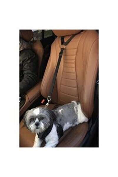 Ankaflex Pet Car Collar Belt That Can Be Connected to the In-Car Seat