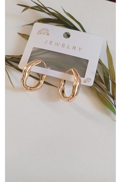 Feride VIP Series - Steel Earrings Curved Hoop Zigzag Rime Porcelain Antiallergic Non-Tarnish Color Earrings