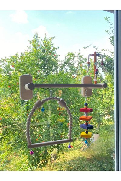 ADAPATİ PET Glass Front 4 Suction Cups Bird Play Seat