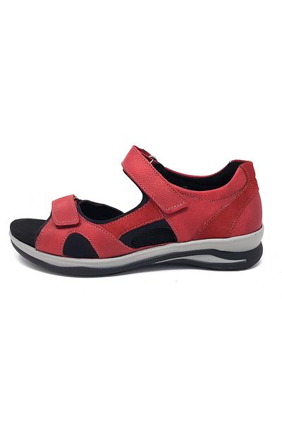 Fidelio rot