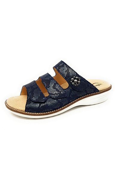 Ganter blau