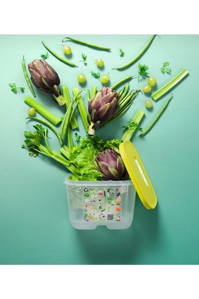 Tupperware Greenhouse 1.8 Upright - Comfortable and Fashionable Design