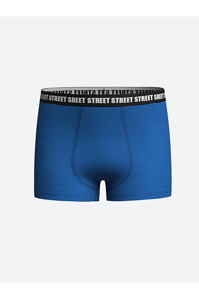 LC Waikiki Boxers για αγόρια - LCW Printed, Σετ 3 τεμαχίων