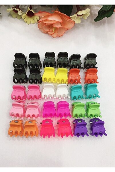 Chehra Design مشبك مزلاج صغير ملون 30 قطعة