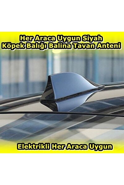 NKT GROUP Elektrikli Her Araca Uygun Siyah Shark Köpek Balığı Balina Tavan An...