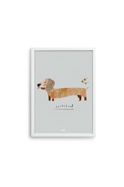 Köpek Dostları Dachshund Posteri