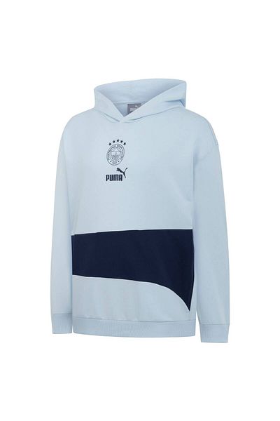 Puma Mens spikeball Essenstials Multicolor Hoodie