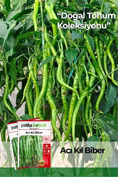 Patika Botanik 150 Adet Yerli Ata Acı Kıl Biber Tohumu