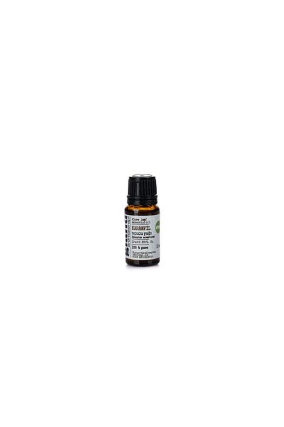 Gland Clove Essential Oil - Syzygium Aromaticum 10ml