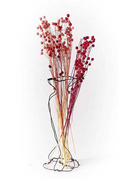 Pod Studio Tel Dokoratif Vazo