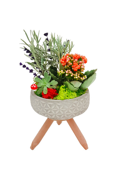 çiçekseli Minimalist Design Serisi Rustic Garden & Ayaklı Papatya Beton Saksı...