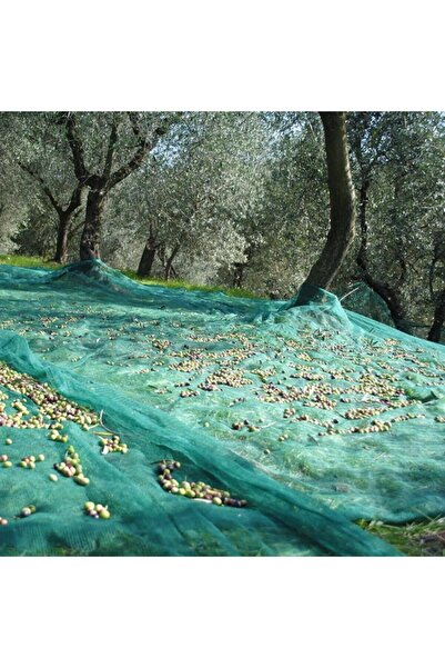 Filexus Zeytin Toplama Filesi 4mx6m