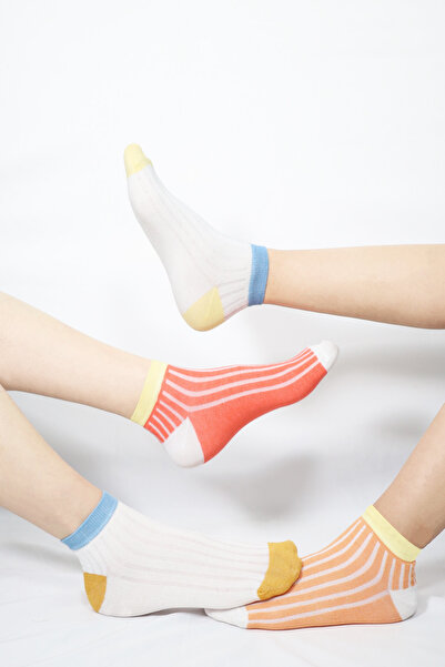 KRAL SOCKS 8' Libre Pack Colorful Lycra Cotton Women's Combed Cotton Booties - Special Design