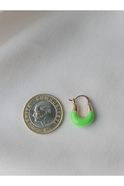 Siya Silver Green Gold Colored U Model Steel Earrings