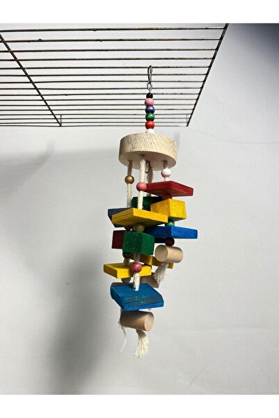 NOTREMONDEPET Ahşap Papağan Stres Oyuncağı