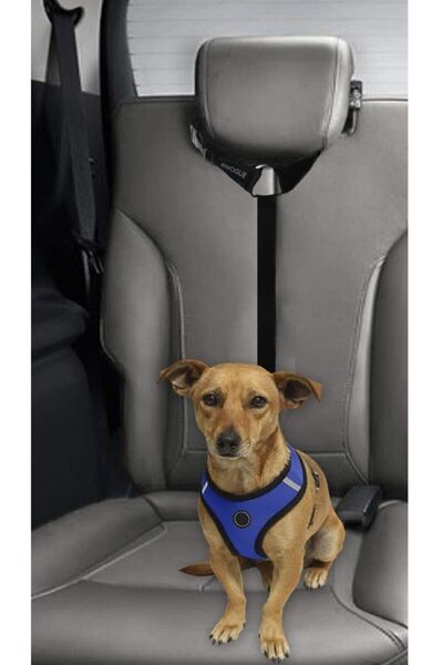 Ankaflex Pet Car Collar Belt That Can Be Connected to the In-Car Seat