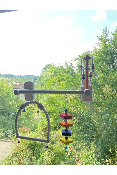 ADAPATİ PET Glass Front 4 Suction Cups Bird Play Seat