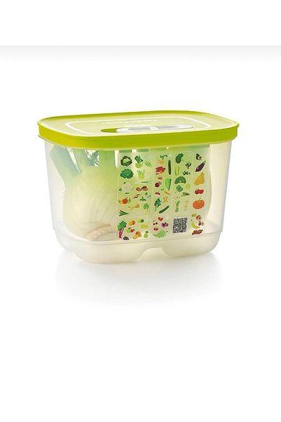 Tupperware Greenhouse 1.8 Upright - Comfortable and Fashionable Design