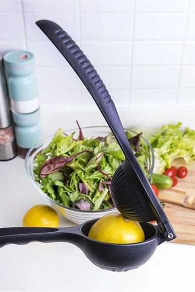 Hilamingo Home Orange Lemon Citrus Juicer Cast Iron 23 Cm