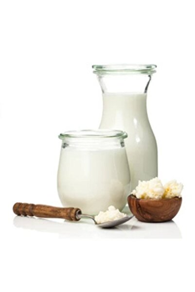 Genel Markalar Çoğalabilir Ev Yapımı Kefir Mayası 660 Gr
