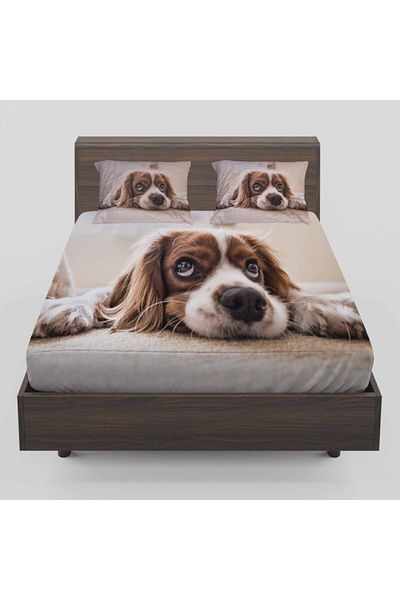 Else Halı Else Cute Confused Dog Patterned Elastic Double Elastic Sheet Set 160x200cm