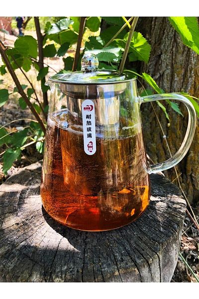DİBA AVM Oval Design Luxury Tea & Coffee Pot with Borosilicate Glass Steel Strainer and Lid Glass Teapot 950 ML