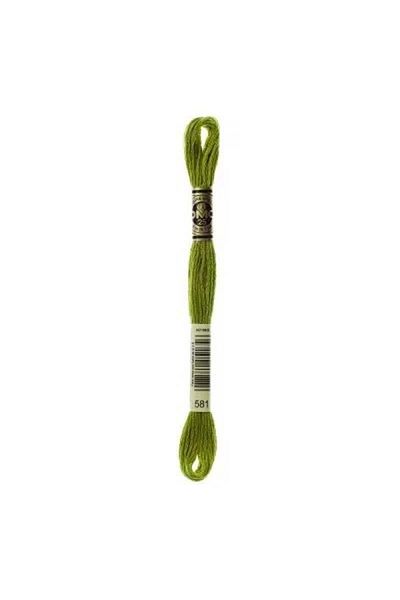 Dmc Muline Hand Embroidery Threads - 8 M - Color No 581