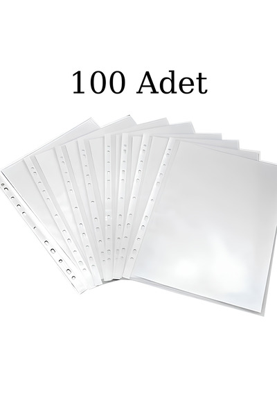 npratik 10 Pack Extra Transparent Bag File - Durable and Useful (1000 Pieces)