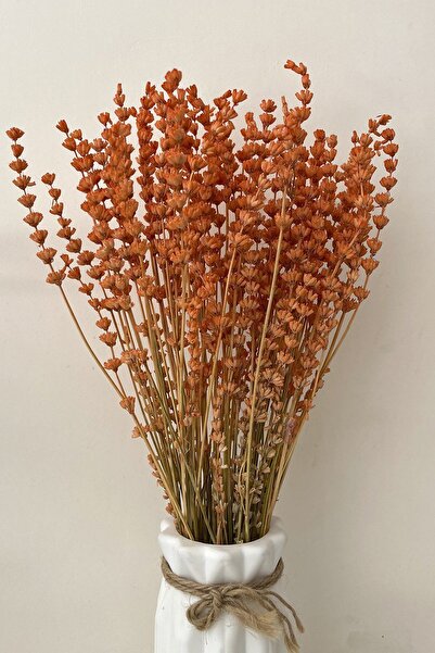 Goya Home Turuncu Lavanta Gelin Buketi Aranjman Çiçeği Süslük Vazoluk Magnetlik Hediyelik Kuru Çiçek