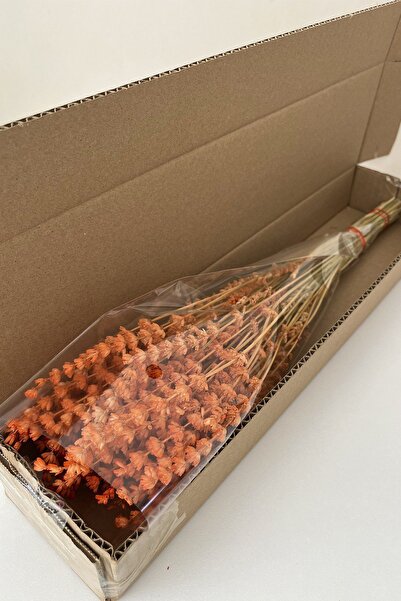 Goya Home Turuncu Lavanta Gelin Buketi Aranjman Çiçeği Süslük Vazoluk Magnetlik Hediyelik Kuru Çiçek