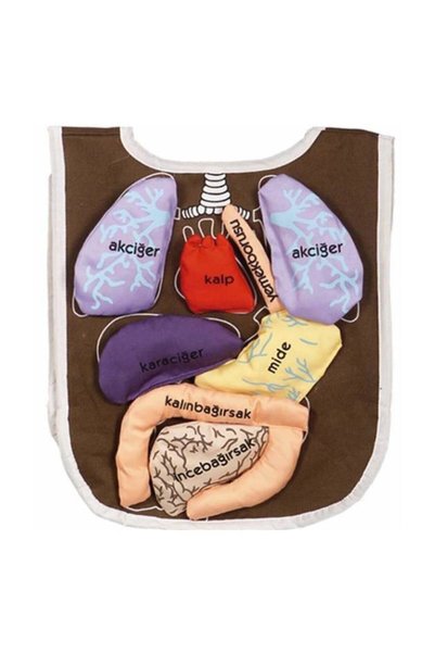 AnkiToys Eğitici Organ Önlüğü