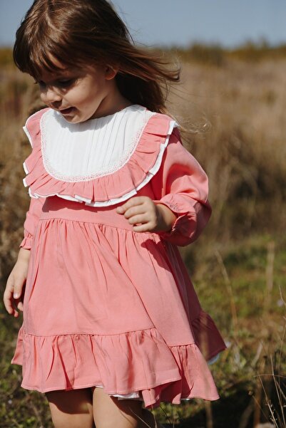 Baby Animals Bebek Kız Çocuk Doğum Günü Parti Düğün Elbise Astarlı Çocuk Giyim bebek giyim Kız Elbroba