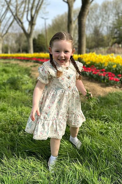 Baby Animals Baby Girl Dress Girls' Dress Birthday Party Wedding Dress Tulle Short Sleeve Lined Dress