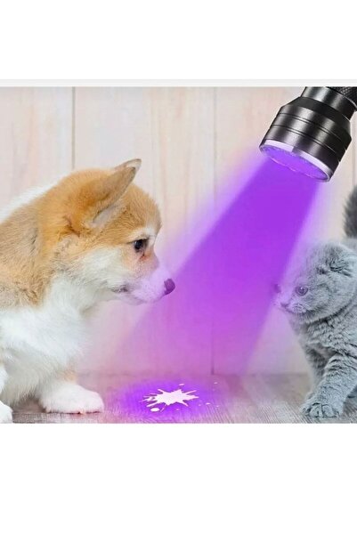 Lightingx Uv Fener 21 Led Ultraviyole Fener Mor Uv Işık Lamba Siyah