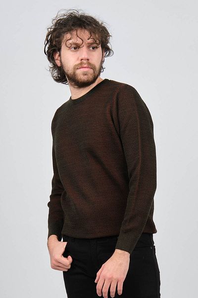 Çizgi Triko Men's Crew Neck Patterned Sweater 42554224 Khaki