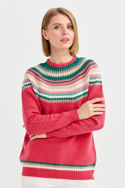 Desen Triko Women's Crew Neck Embroidered Patterned Wool Sweater 0242086 Pink