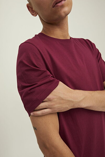 Jack & Jones Erkek Bisiklet Yaka Basic Tisört – Bio