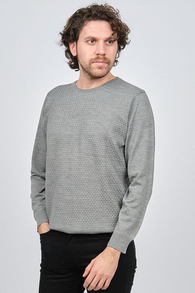 Desen Triko Men's Crew Neck Patterned Wool Sweater 0249618 Gray