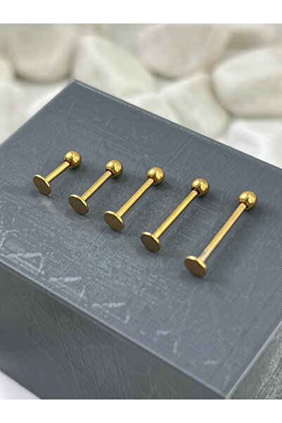 Karınca Piercing Labret Piercing Tragus Helix Conch Dudak Snake Bites Medusa Monroe Burun Nostril Flat Kıkırdak Lobe