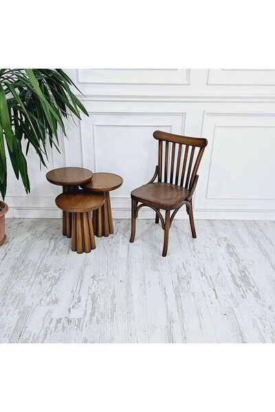 HASAĞAÇ Baia Eskitme Ahşap Renkli Modern Sandalye