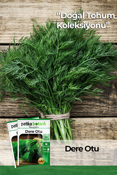 Patika Botanik 2.800 Adet Ata Tohumu Yerli Toros Yeşili Dere Otu